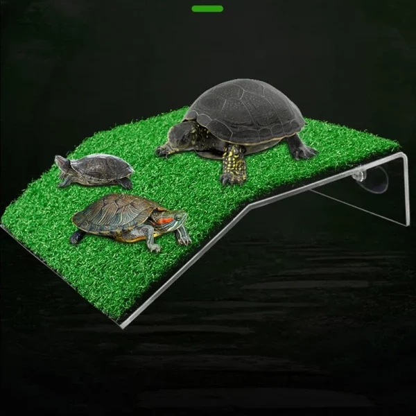 Side view of turtle basking platform, showcasing the gentle ramp design
