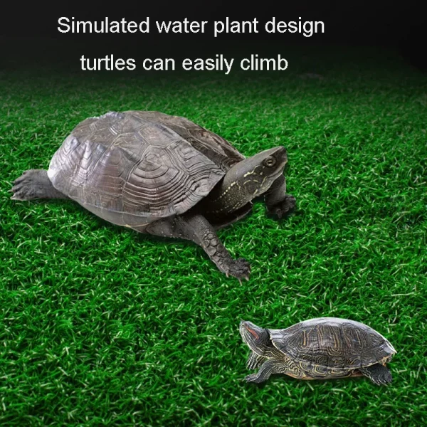 Turtle basking platform integrated into a lush aquatic reptile habitat