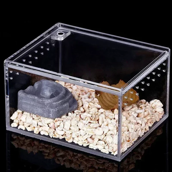 Arboreal tarantula enclosure with naturalistic substrate setup