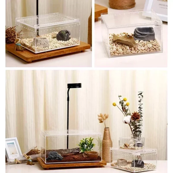 Reptile enclosure showing leak-proof base and spacious interior