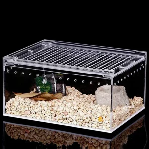 Reptile Terrariums
