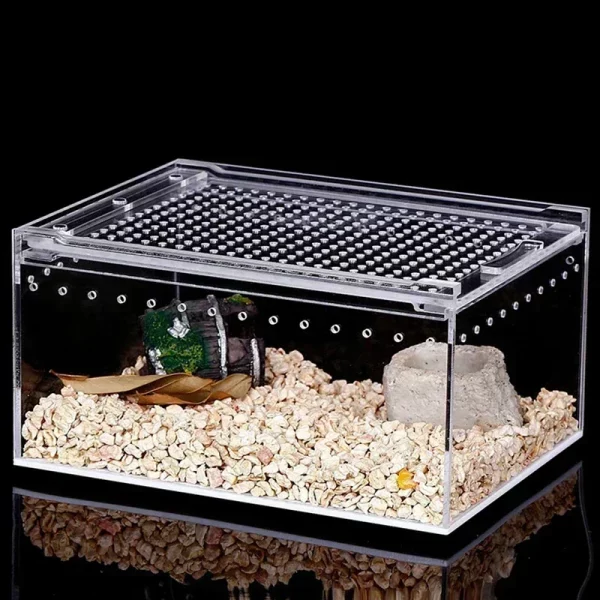 Transparent acrylic reptile breeding box, front view