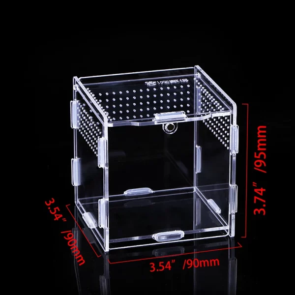 Reptile habitat with a scorpion inside, showcasing the clear visibility and compact size.