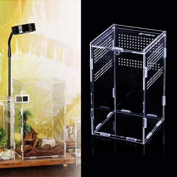 Transparent acrylic reptile habitat viewed from the front, showing clear walls and lid.