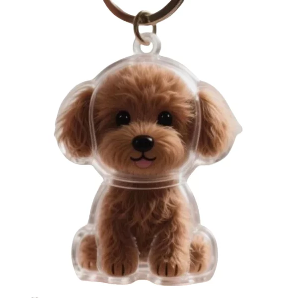 Dog Hair Collector Keychain Waterproof Memorial Storage Box Wear Resist Pets Hairs Keyring Portable Pet Memory Capsule,