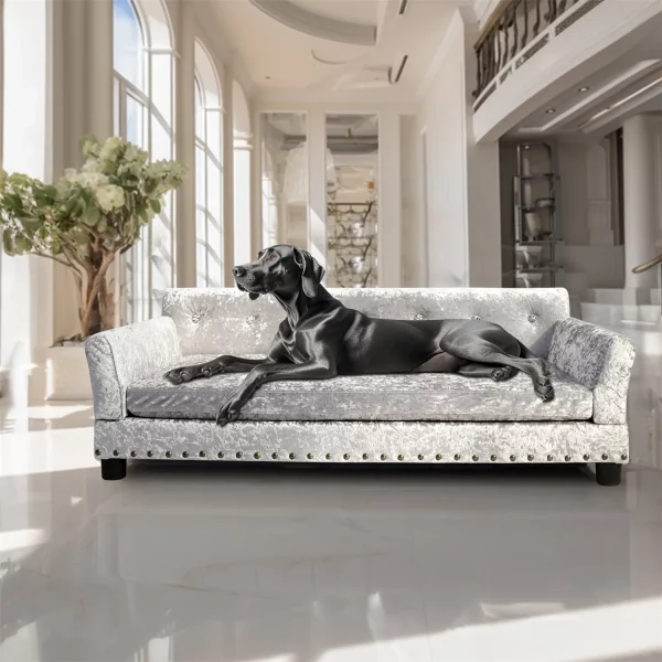 Dog resting comfortably on the elevated dog couch