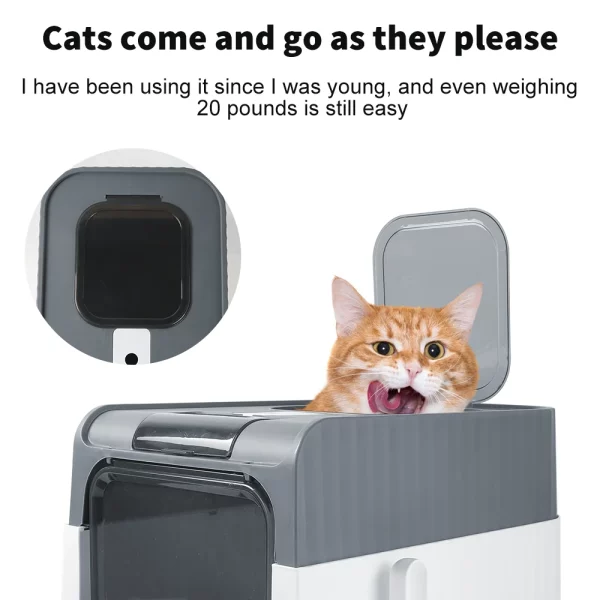 Cat litter box with detachable base for easy cleaning