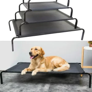 Dog resting comfortably on a black elevated dog bed, side profile view.