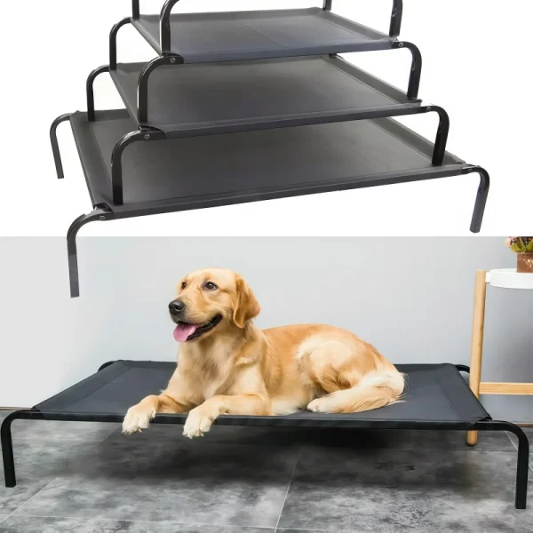 Dog resting comfortably on a black elevated dog bed, side profile view.