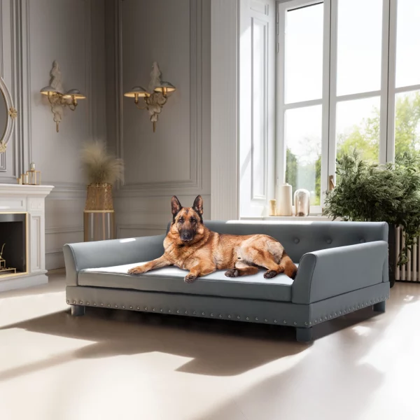 Rectangle Pet Bed for Medium and Large Dogs, Durable Elevated Dog Sofa Bed, Comfortable Dog Couch, Modern and Stylish