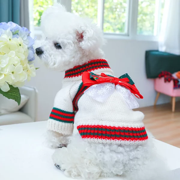 Dog wearing the red knitted pet sweater, looking happy outdoors.