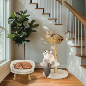 Modern Solid Wood Cat Tree with Plush Cushion and Toy Ball Activity Tower Center Cozy Rest Sisal Rope Scratching Post