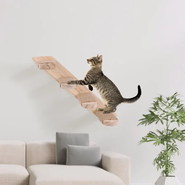 Close-up of natural pine wood texture on a cat climbing shelf step.