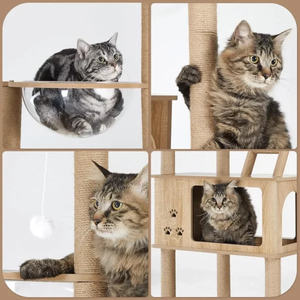 Cat tree, featuring interactive hanging pom-poms for play