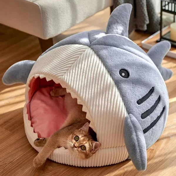 Cat peeking out from the entrance of a shark-shaped pet bed