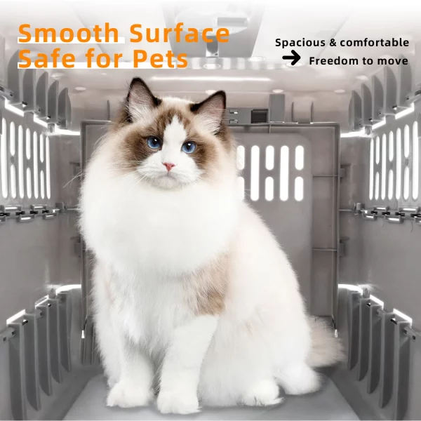Interior view of the spacious pet carrier