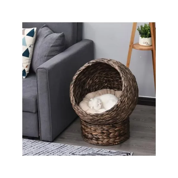 Cat house showing spacious interior and side profile