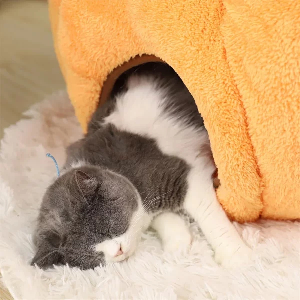 Side view of the orange pumpkin pet bed showing its cave entrance