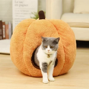 Orange Halloween pumpkin pet bed from the front
