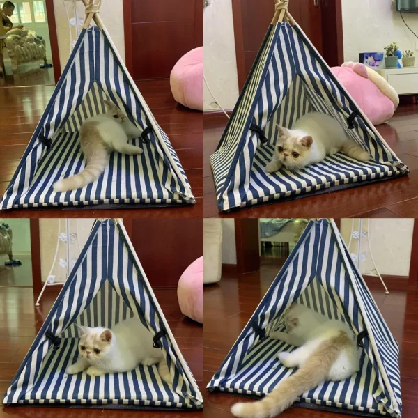 Interior view of the pet tent, highlighting the thick, comfortable cushion