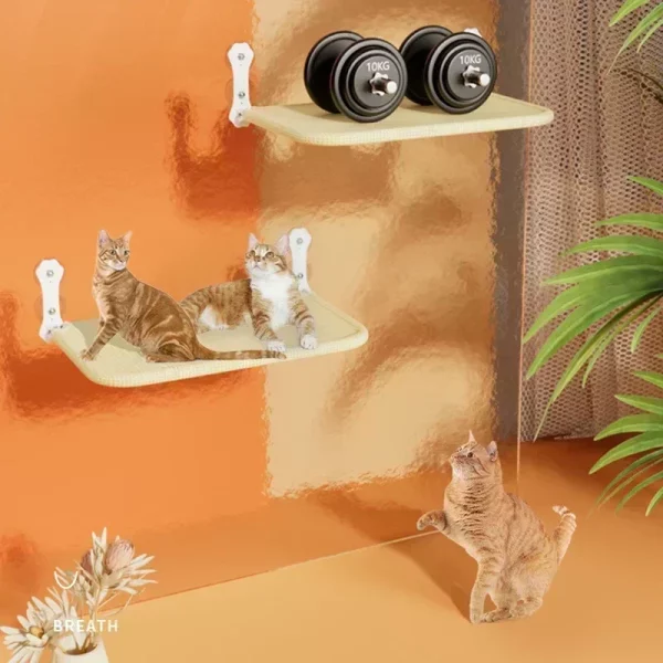 Cat looking out from a suspended cat bed on a window pane