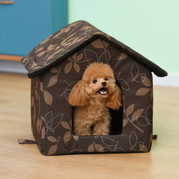 Interior view of the cozy dog house