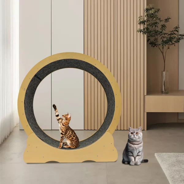 Close-up of the silent roller mechanism and base of the cat exercise wheel