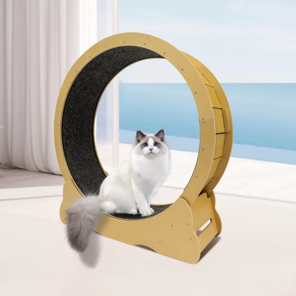 Front view of a wooden cat exercise wheel with a cat running on it