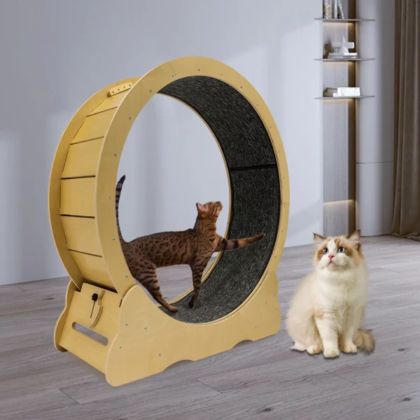 Side profile of a wooden cat exercise wheel showcasing the sisal running surface