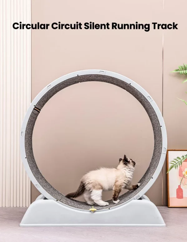 Close-up of the smooth running surface of a cat wheel exerciser