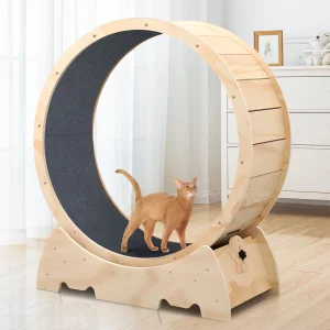 42.51 inch solid wood cat exercise wheel, front view