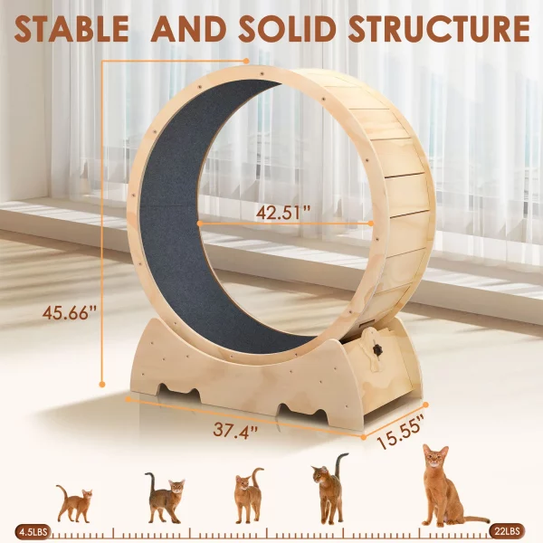 Close-up of the silent spinning mechanism on a cat exercise wheel