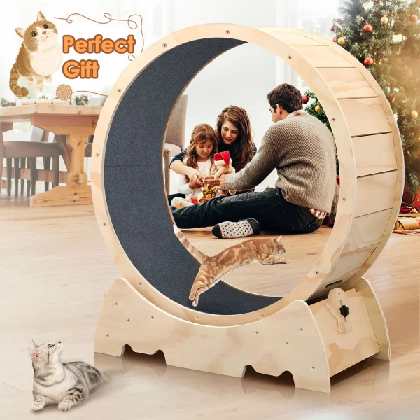 Side profile of the 42.51 inch solid wood cat exercise wheel