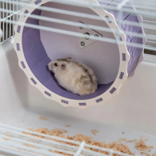 Hamster cage setup with a small pet interacting with the habitat