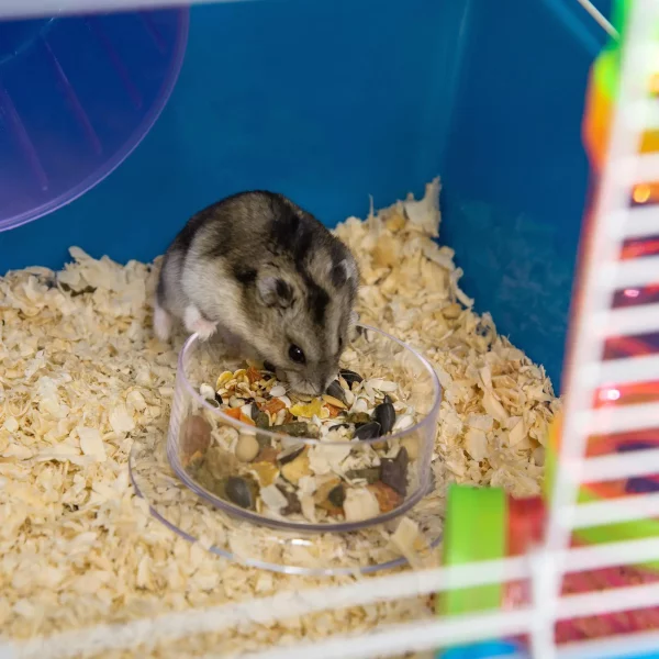 Modular tube system for hamster gerbil cage, promoting exploration