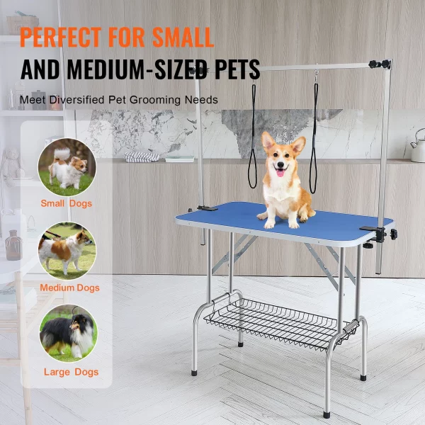 Pet grooming table setup in a home environment with grooming tools nearby