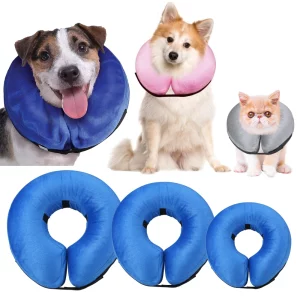 Dog Cat Care