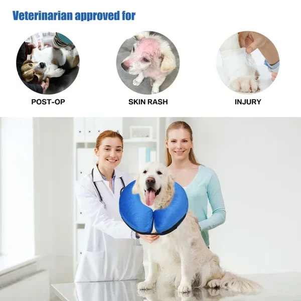 Dog wearing the inflatable collar, resting comfortably.