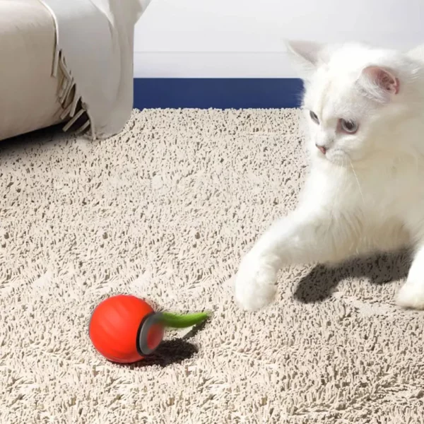 Rechargeable cat toy ball with a feather tail attached, ready for play.