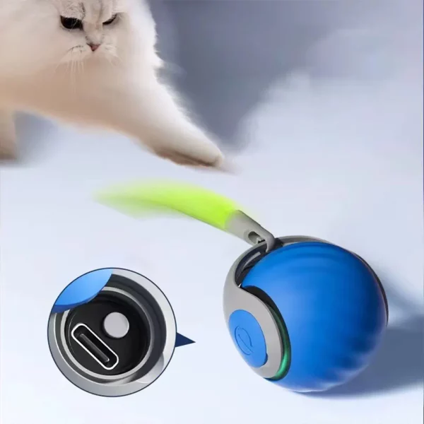 Cat actively playing with the automatic rolling ball toy on a wooden floor.