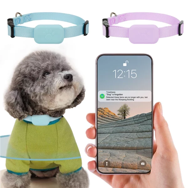 Pet wearing the GPS tracker collar in a park setting