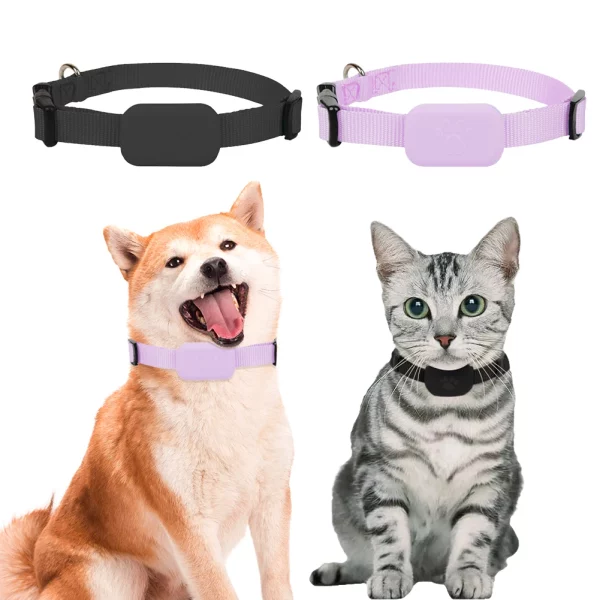 Mini GPS tracker device attached to a pet collar