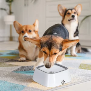 Water Feeder Bowl with Waterproof Cloth Mat, Floating Pet Dog Drinking Bowl, Splash-Free Plastic Dispenser, UNITED
