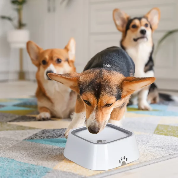 Water Feeder Bowl with Waterproof Cloth Mat, Floating Pet Dog Drinking Bowl, Splash-Free Plastic Dispenser, UNITED