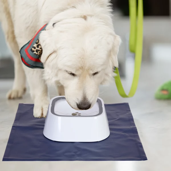Floating pet water bowl, side profile, showing water level control