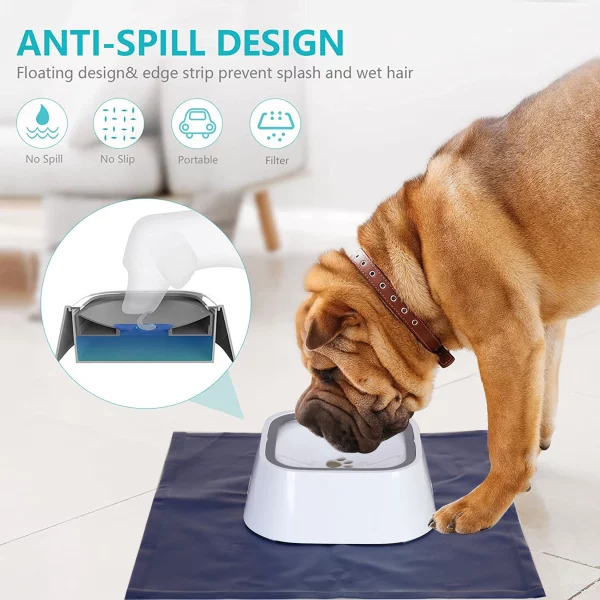 Dog drinking from the splash-free water bowl, clean surroundings
