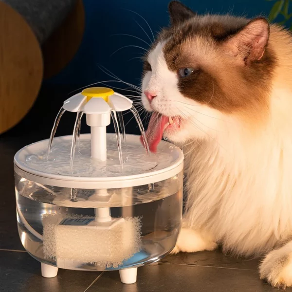 Close-up of the transparent cat water fountain showing the water level and filter.