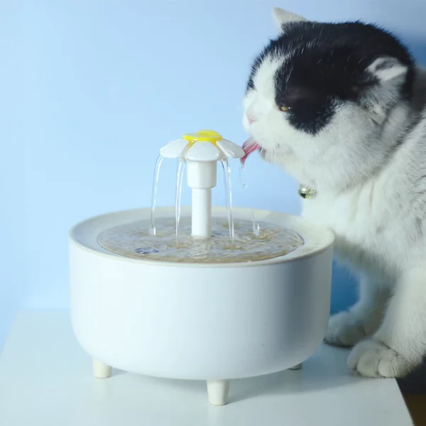 The cat water dispenser with water flowing, demonstrating the fountain setting.
