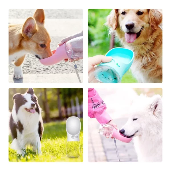 water bottle in use, dog drinking, showing ease of use