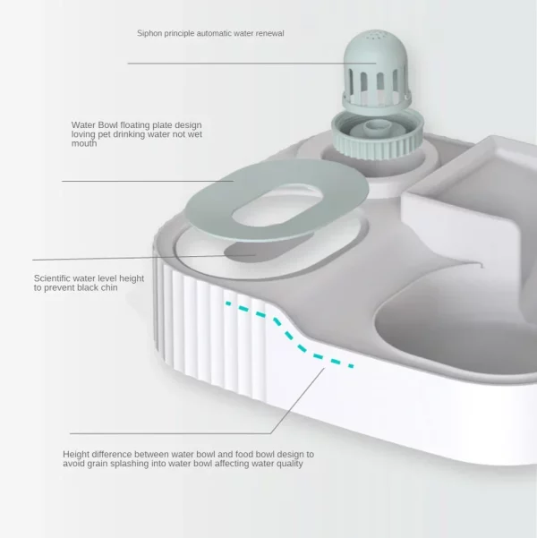 Stainless steel food bowl and transparent plastic water bowl side-by-side